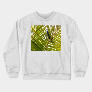 Peek a Boo! Crewneck Sweatshirt